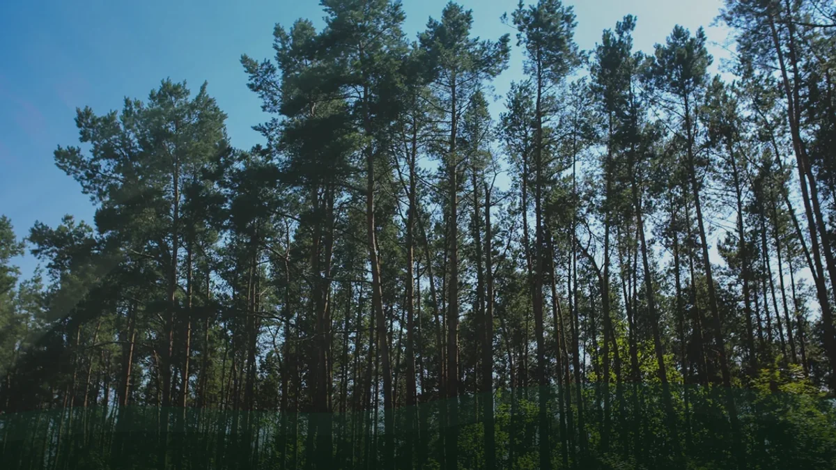 Diagnóstico ambiental rápido para empresas